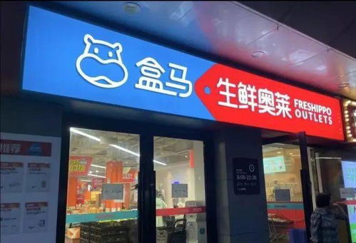 對話盒馬侯毅 做企業(yè)不賺錢，總歸覺得是種恥辱——新零售的批發(fā)兼零售之道